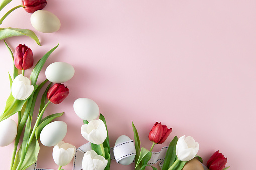 Easter eggs and tulips on pink background