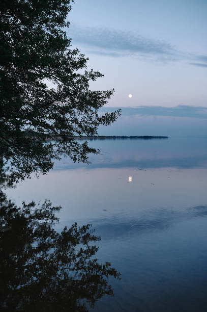 istock rising full moon over the river, against the background of a tree 1479291569