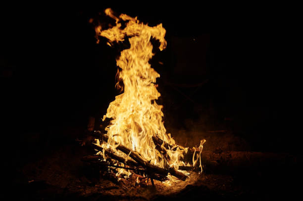 istock Big bonfire in the forest at night, camping 1479291824