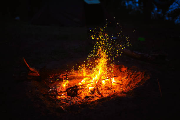 istock Big bonfire in the forest at night, camping 1479291894