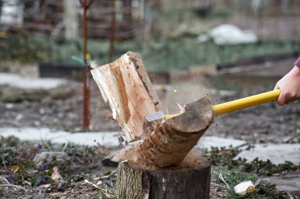 istock ax chopping wood for logs, spring, village 1479293011
