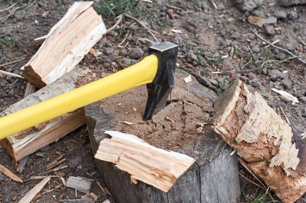 istock ax chopping wood for logs, spring, village 1479293035
