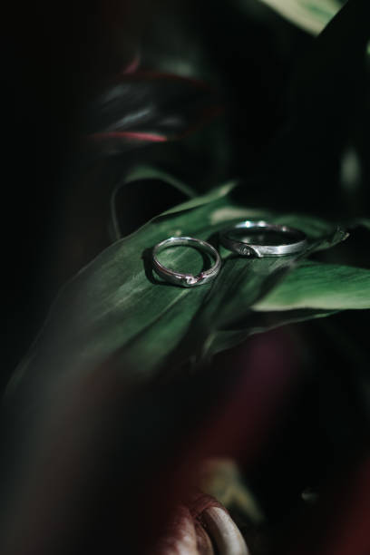 istock a pair of rings on a leaf 1479294752