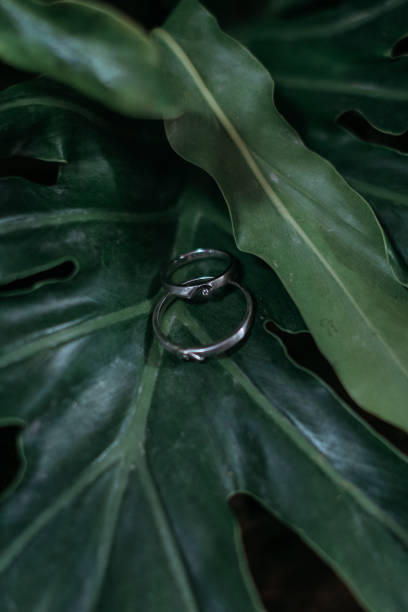 istock high angle a pair of rings on a leaf 1479294759