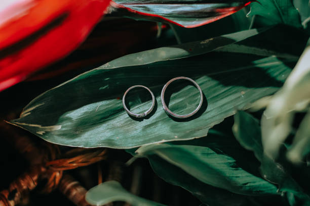 istock high angle a pair of rings on a leaf 1479294760