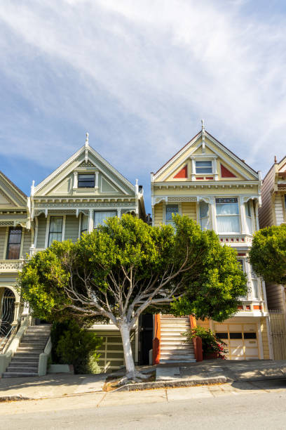 istock The Painted Ladies 1479302926