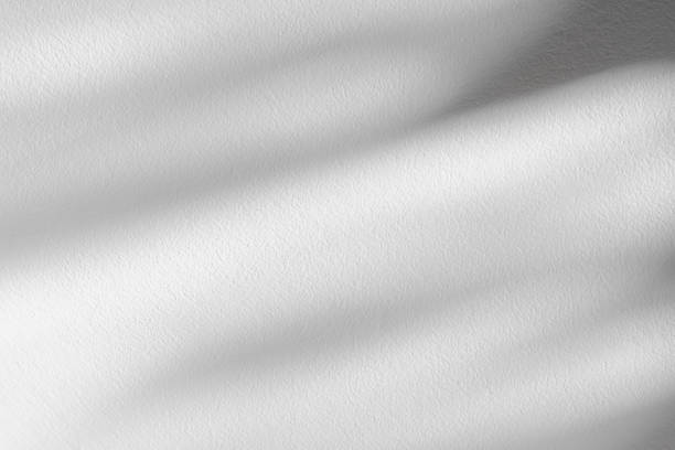istock Concrete wall texture with Natural light leaves shadow overlay. White,Grey Cement with tropical leaf transparent on floor,Backdrop Background Display Product Presentation,Promotion,Add for all Season 1479305895
