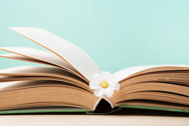 istock World book and Copyright day, Education concept on Blue Mint Background. 1479309595