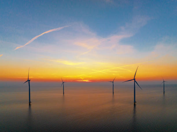 istock Wind turbines in an offshore wind park producing electricity during sunset. 1479311502