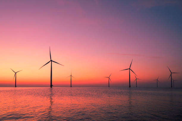 istock Wind turbines in an offshore wind park producing electricity during sunset. 1479311934