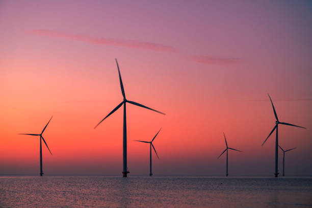 istock Wind turbines in an offshore wind park producing electricity during sunset. 1479312317