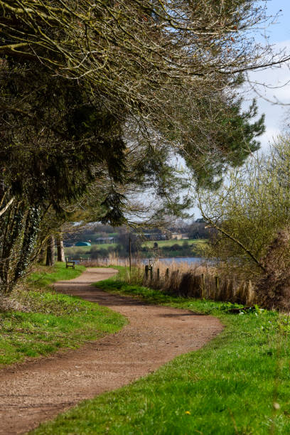 istock Footpath winding trough a forest walking route with a river on the horizon 1479314718