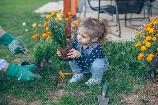 Little girl planting in her garden at home