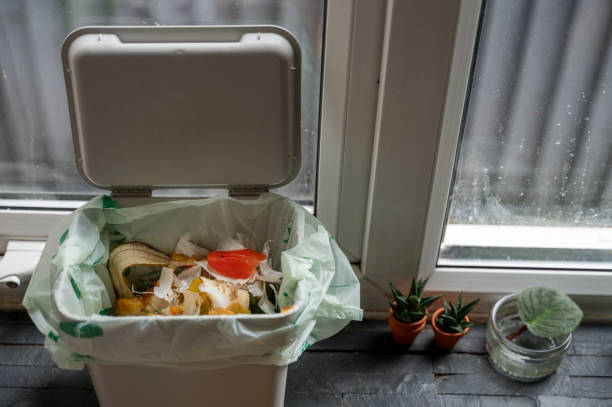 istock Bucket for compostable food waste 1479322119