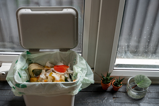 Bin for compostable food waste on kitchen windowsill