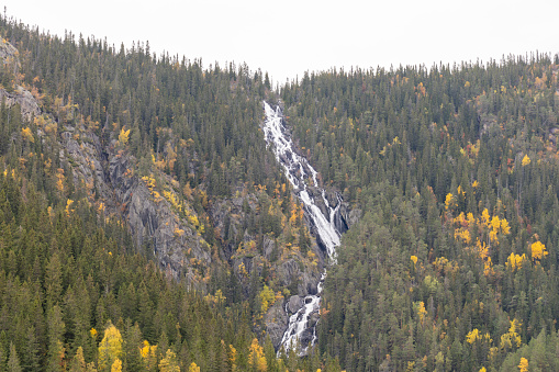 Wild norwegian waterfall in Rjukan, during the picturesque autumn colors, scandinavia