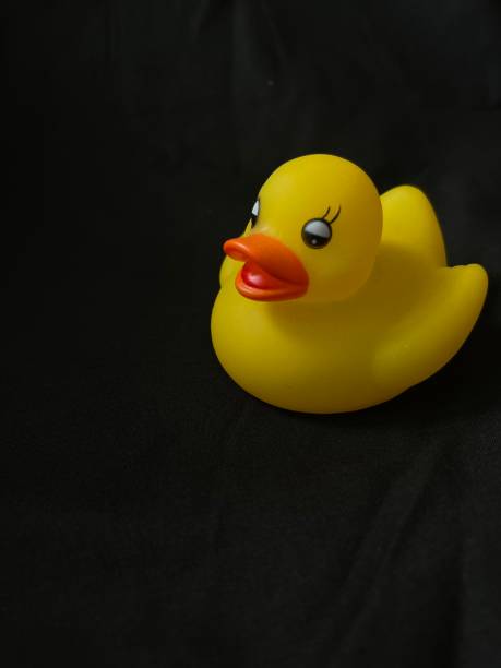 istock Yellow rubber duck on black background 1479327524