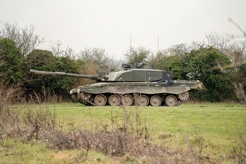 A military tank parked in a grassy meadow in front of a cluster of trees