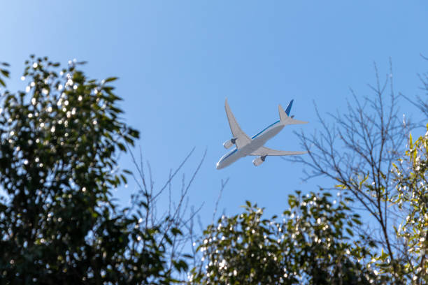 istock Airplane flying low over the park 1479332578