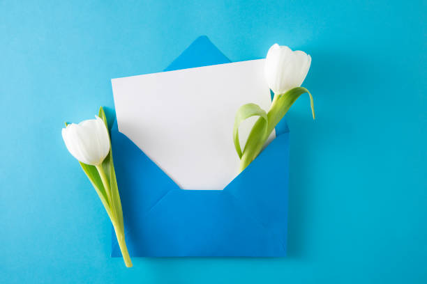 istock Tulips with White Greeting Card in Blue Envelope 1479332886