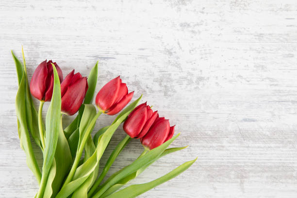 istock Beautiful Tulips on Wooden Background 1479333022