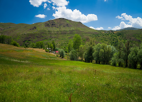 Spring view of the meadow. Green meadow in high mountain village. Gumushane Krom valley villages.