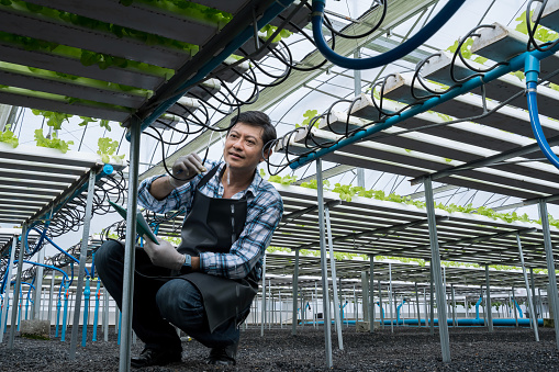 Man installing pipe system of Hydroponic vegetable farm. Hydroponic lettuce in hydroponic pipe. Hydroponic vegetable farm.