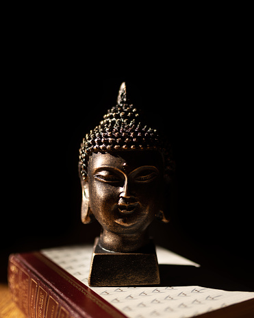 A vertical shot of a Buddha head statue placed on a book