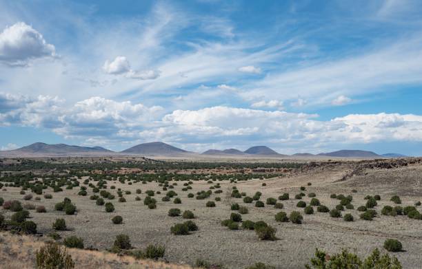 istock some green bushes near mountains under a cloudy sky on a sunny day 1479340446
