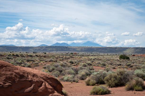 istock an open field covered in grass and plants under clouds in the distance 1479340452