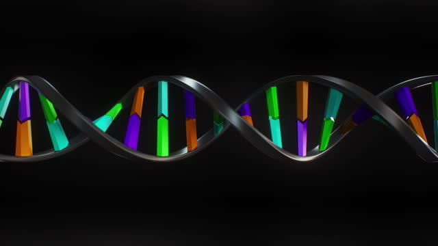Process of DNA strand construction in this detailed animation