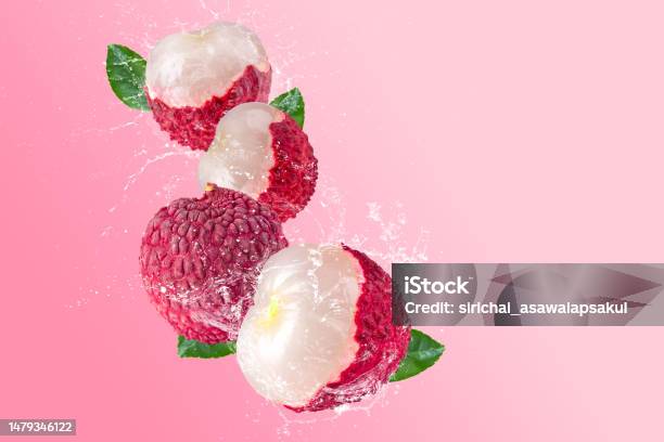 신선한 열매 또는 리치 과일과 파스텔 핑크 배경에 튀는 물로 만든 창의적인 레이아웃 과일 최소한의 개념과 복사 공간 리치에 대한 ...
