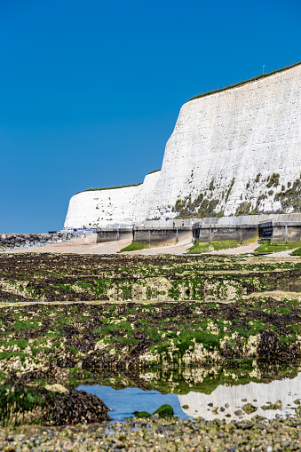 Natural wonders of White Cliffs of England low tide summer sunny day East Sussex Southern England Europe