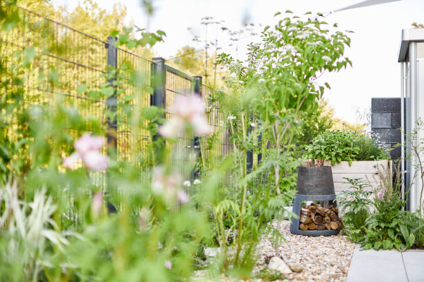 istock Plants in a city garden in Leipzig 1479355857