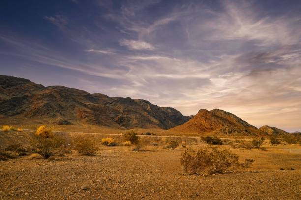 istock a desert plain with mountains and trees in the background at sunset 1479362214
