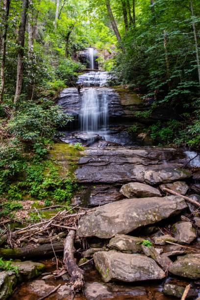 istock Majestic waterfall cascades through a lush and vibrant forest. 1479362557