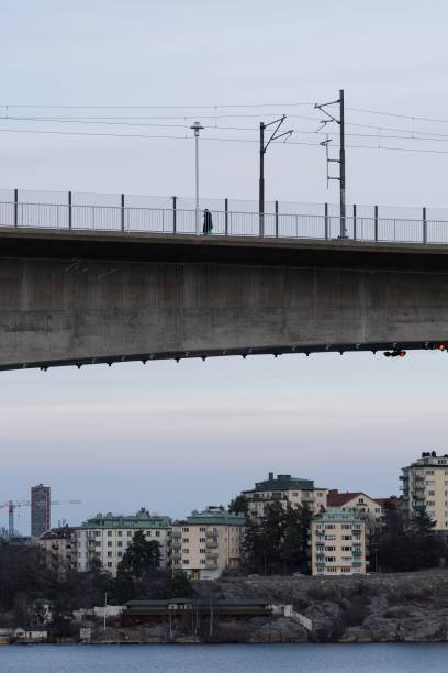 Bridge situated in a suburban area, with a few buildings visible in the background