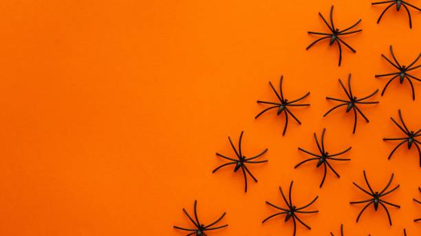 istock Orange background decoration for Halloween with a group of spiders crawling 1479364698