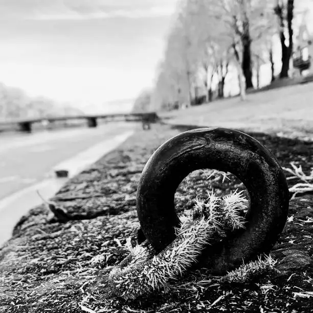 A grayscale shot of a tire next to a body of water, situated near a road.