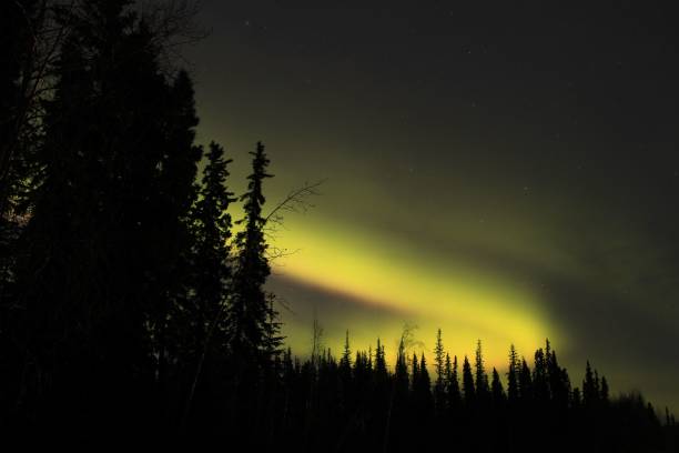 istock Stunning view of the Aurora Borealis from a secluded dark forest with no artificial light pollution 1479368668