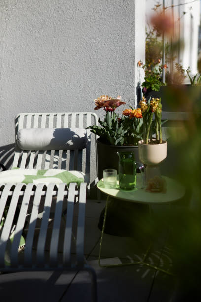 istock Plants and flowers on a balcony in Leipzig 1479369576