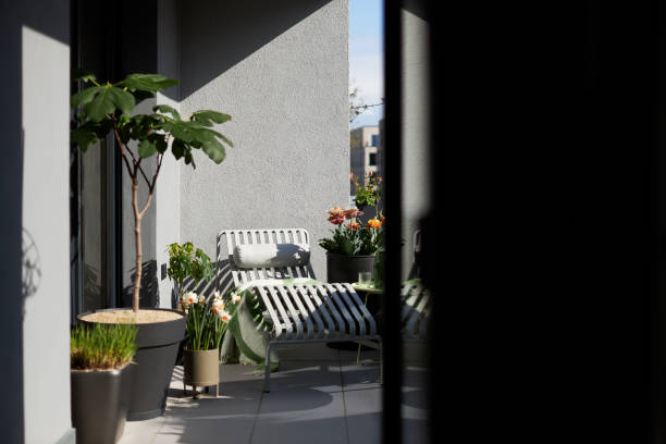 istock Plants and flowers on a balcony in Leipzig 1479370392