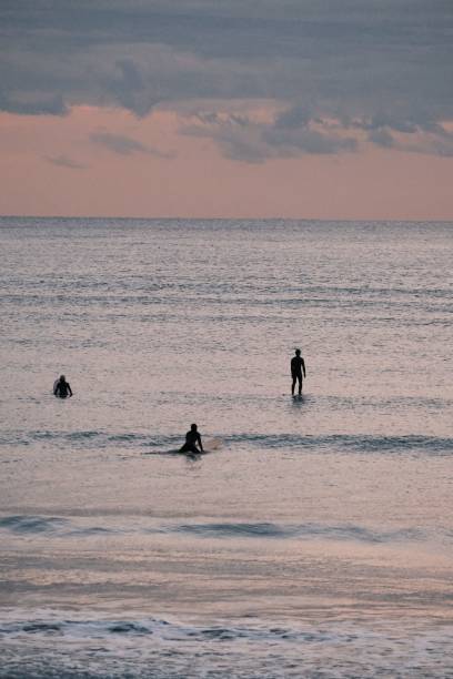 istock surfers in the ocean at dusk time with the setting sun 1479370674