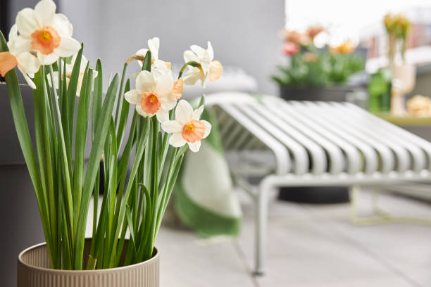 istock Plants and flowers on a balcony in Leipzig 1479370966