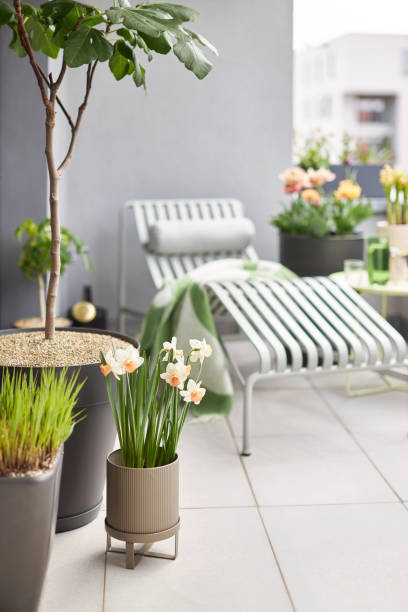 istock Plants and flowers on a balcony in Leipzig 1479371070