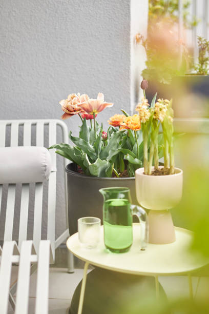istock Plants and flowers on a balcony in Leipzig 1479371994
