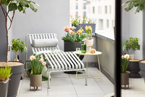 Plants and flowers on a balcony in Leipzig, photographed in high resolution