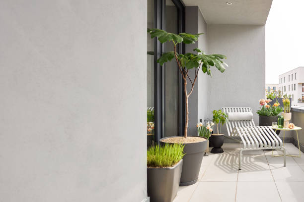 istock Plants and flowers on a balcony in Leipzig 1479372284