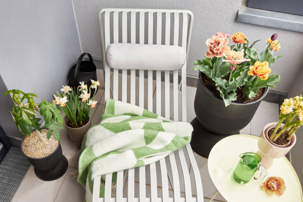 istock Plants and flowers on a balcony in Leipzig 1479372432