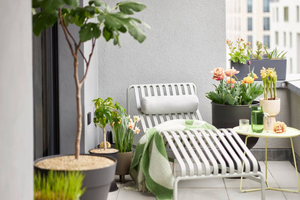 istock Plants and flowers on a balcony in Leipzig 1479372566